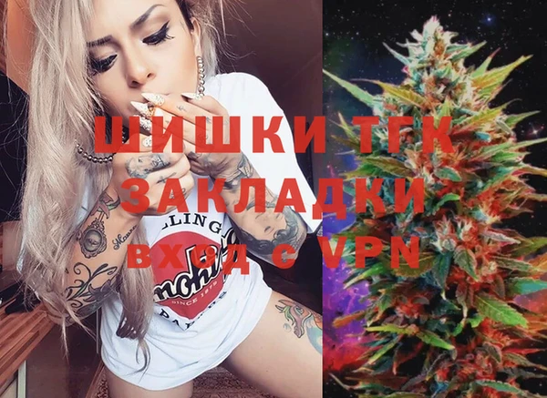 мдпв Дмитров